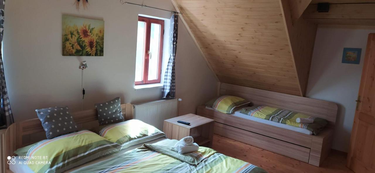 Apartmany Natalie Dvory nad Luznici Zewnętrze zdjęcie